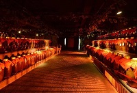 ʲô׾ƾƽѱȰ׾ƾƿ(ch)Ƹ